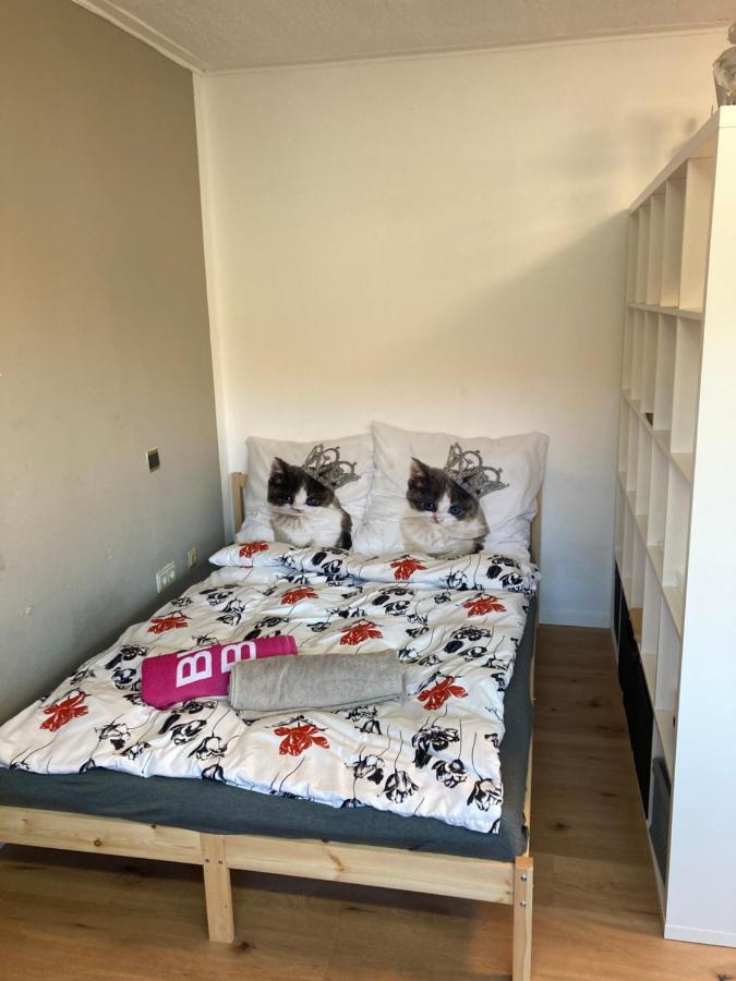 Privatzimmer In Muenchen Zentrum Buitenkant foto